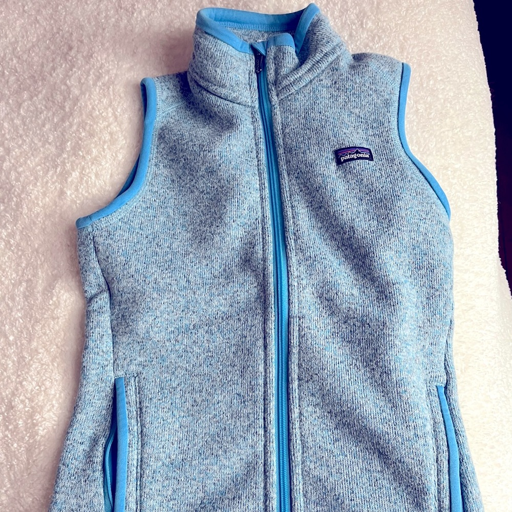 Patagonia vest